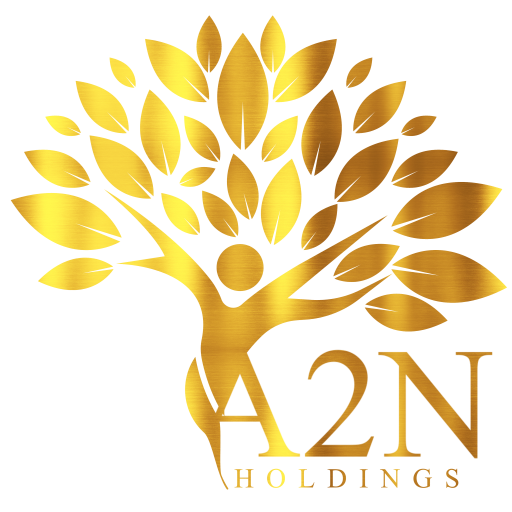 A2N Holdings , Abu Dhabi